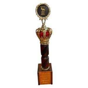Vintage IHMSA 3 Gun Champion Trophy Indiana Gun Club Crown Top Wood Base